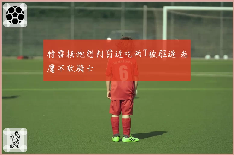 特雷杨抱怨判罚连吃两T被驱逐 老鹰不敌骑士