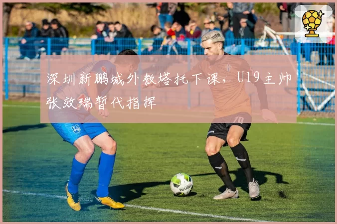 深圳新鹏城外教塔托下课，U19主帅张效瑞暂代指挥